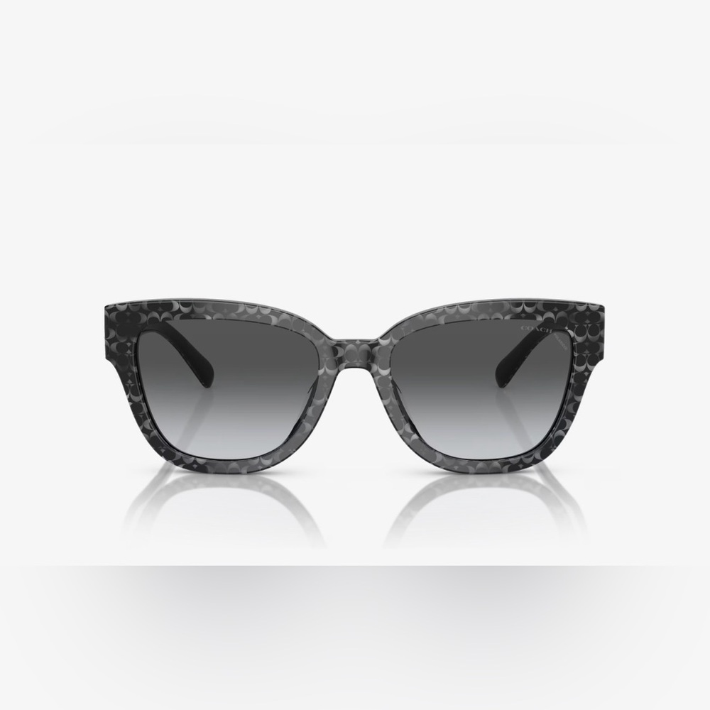Coach Signature C Gray Sunglasses